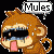Mules 3
